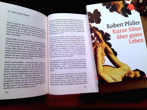 pfallerbuch-interviews